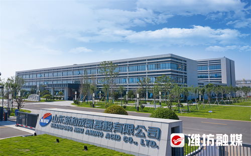 濰觀 鍛造濰坊軟實(shí)力③ 讓良好營(yíng)商環(huán)境成為迸發(fā)生產(chǎn)力的沃土